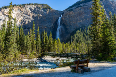 Yoho River flows through the footbridge in the forest over the Takakkaw Falls waterfall in a sunny summer day. Yoho National Park, Canadian Rockies, British Columbia, Canada.の写真素材