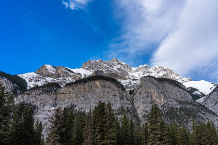 Green pine tree forest and snow-covered mountain. Blue sky and white clouds in the background. Beautiful natural scenery.の写真素材