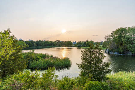 Swan Lake, Jean-Drapeau park in summer evening. Saint Helens Island. Montreal, Quebec, Canada.の写真素材