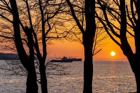 Sunset time at English Bay Beach, looking out from the silhouette of trees branches. Vancouver City beautiful landscape. British Columbia, Canada.の写真素材
