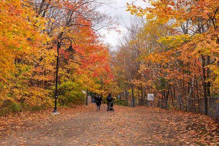 Quebec, Canada-October 20 2021: Montmorency Falls walking trail in the fall season.のeditorial素材