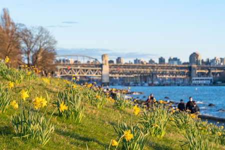 English Bay, Vancouver City beautiful landscape in spring sunset time. British Columbia, Canada.の写真素材