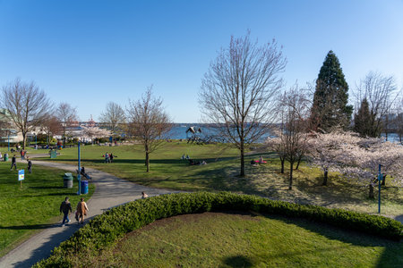 North Vancouver, BC, Canada - April 13 2021 : Waterfront Park in springtime season. People are here...