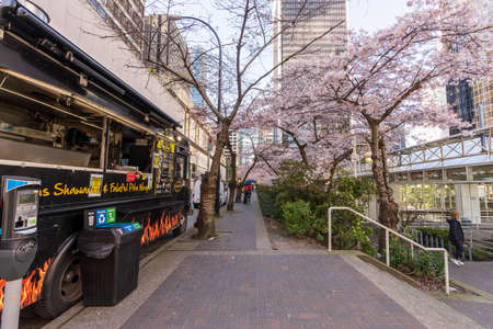 Vancouver, BC, Canada - MAR 29 2021 : Cherry blossom in beautiful full bloom in Burrard Station, Art Phillips Park.のeditorial素材