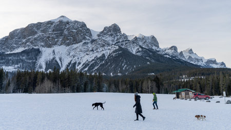 Canmore, Alberta, Canada - January 19 2022 : People are walking the dogs in Quarry Lake Off-Leash Dog Park in winter.のeditorial素材