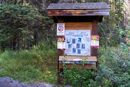 Fenland Trail in summer sunny day. Banff National Park, Canadian Rockies. Beautiful forest natural scenery. Banff, Alberta, Canada.のeditorial素材
