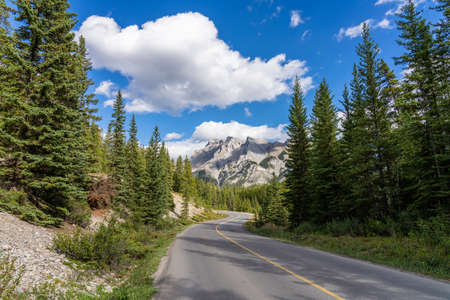 Mountain road in the forest in summer time. Lake Minnewanka scenic drive Loop. Banff National Park, Canadian Rockies, Alberta, Canada.の写真素材