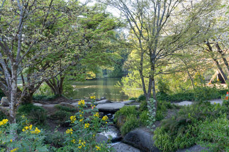 Central Park Lower Pond in springtime. Burnaby, British Columbia, Canada.の写真素材