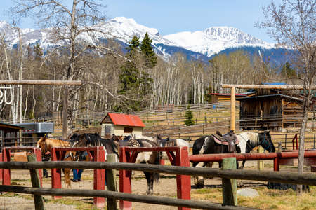 Horseback Riding, Jasper Riding Stables on Pyramid Lake Road. Alberta, Canada.