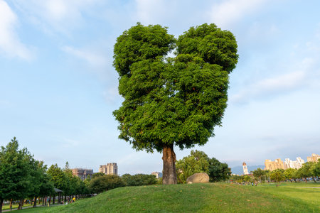 Taichung City, Taiwan - Aug 23, 2022 : Mickey Tree in Taichung Nanxing Park, an urban park in Beitun District.のeditorial素材