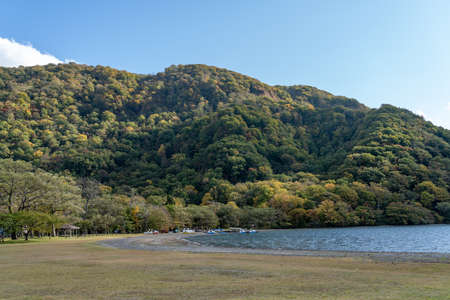 Beautiful autumn foliage scenery landscapes of Lake Towada in sunny day. View from lakeside, clear sky, blue water and white cloud in the background. Towada Hachimantai National Park, Aomori, Japanの写真素材