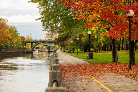 Fall foliage in Ottawa, Ontario, Canada. Rideau Canal Eastern Pathway autumn red leaves scenery. Laurier Avenue Bridge.のeditorial素材