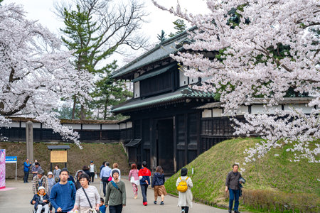 Hirosaki Park in springtime cherry blossom season sunny day at Otemon Gate Entrance. Visitors enjoy the beauty full bloom pink sakura trees flowers. Aomori Prefecture, Japanのeditorial素材