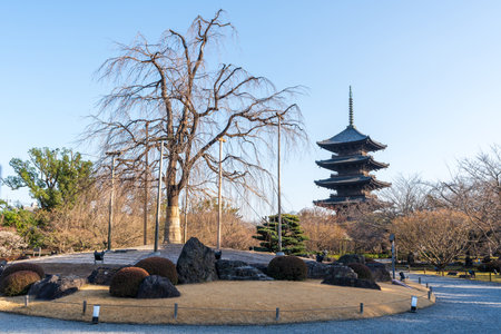 Kyoto, Japan - March 03 2023 : To-ji Temple Five-storied Pagoda. World Heritage Site.のeditorial素材