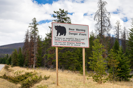 Alberta, Canada - May 11 2021 : Bear warning sign in Jasper National Park.のeditorial素材