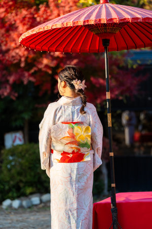 Japanese Kimono Portrait back view photography. Kyoto, Japan. Fall foliage background. Maple leaves...