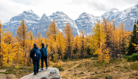 Tourists hiking in Larch Valley. Banff National Park, Canadian Rockies, Alberta, Canada. Golden yellow larch forest in Fall season. Valley of the Ten Peaks in the background.の写真素材