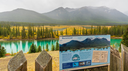 Alberta, Canada - Sep 27 2023 : Backswamp Viewpoint. Bow River in fall foliage season, mountains in the background. Banff National Park, Canadian Rockies.のeditorial素材
