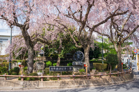 Nara, Japan - April 2, 2023 : Daibutsu Railway Memorial Park Cherry blossoms in full bloom.のeditorial素材