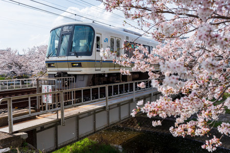 Nara, Japan - April 2, 2023 : JR West Yamatoji Line, Nara Line railroad track train. Saho River iron...