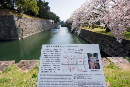 Kyoto, Japan - March 27 2023 : Cherry blossom along the moat of the Nijo Castle.のeditorial素材