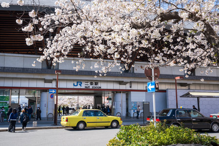 Kyoto, Japan - March 27 2023 : Cherry blossom in Nijo Station.のeditorial素材