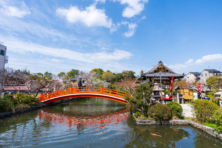 Kyoto, Japan - March 27 2023 : Shinsenen Garden. Full blooming cherry blossoms and reflections in the pond.のeditorial素材