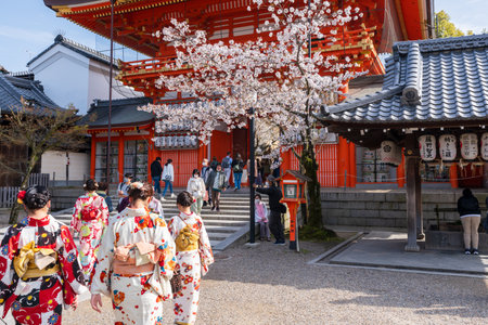 Kyoto, Japan - March 27 2023 : Cherry blossom in Yasaka Jinja Shrine.のeditorial素材