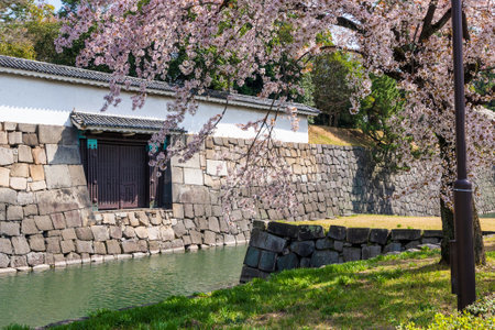 Cherry blossom along the moat of the Nijo Castle, Kyoto, Japan.のeditorial素材