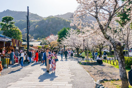 Kyoto, Japan - March 28 2023 : People enjoying cherry blossoms in Arashiyama district.のeditorial素材