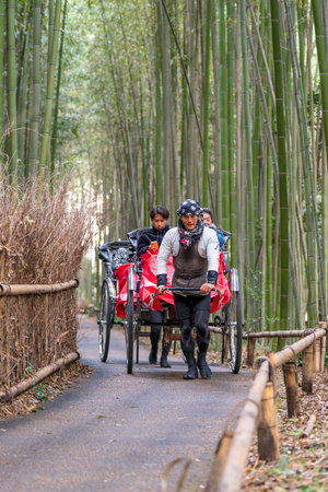 Arashiyama, Kyoto, Japan - Feb 24 2024 : Tourists enjoying the rickshaw (Jinrikisya) for sightseeing in the bamboo forest.のeditorial素材