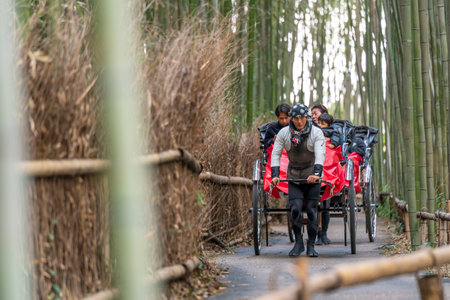 Arashiyama, Kyoto, Japan - Feb 24 2024 : Tourists enjoying the rickshaw (Jinrikisya) for sightseeing in the bamboo forest.のeditorial素材