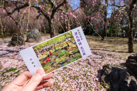 Kyoto, Japan - Feb 28 2024 : Jonangu Shrine weeping plum tree Japanese garden.のeditorial素材
