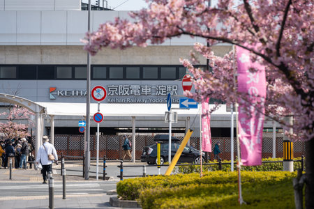 Fushimi-ku, Kyoto, Japan - March 11 2024 : Keihan Railway Yodo Station building in cherry blossoms season.のeditorial素材