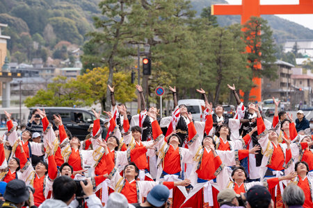 Kyoto, Japan - March 31 2024 : Kyoto Sakura Yosakoi ( Sakuyosa ) festival. A group of dancers dancing down a street at the Okazaki area around Heian Shrine.のeditorial素材