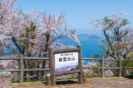 Kagawa, Japan - April 10 2023 : Mt. Shiude (Shiudeyama) Mountaintop Observatory. Cherry blossoms full bloom in the spring. Shonai Peninsula, Mitoyo, Kagawa, Shikoku.のeditorial素材