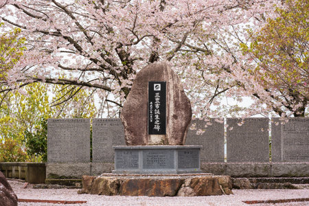Mitoyo, Kagawa, Japan - April 9 2024 : Monument of Asahiyama Shinrin Park (Mt. Asahi Forest Park). Cherry blossoms in full bloom in Shikoku island.のeditorial素材