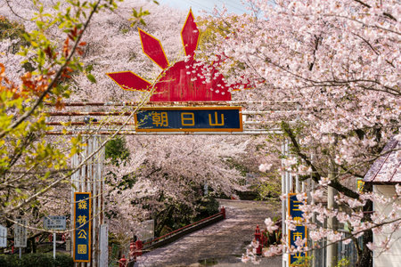 Mitoyo, Kagawa, Japan - April 9 2024 : Gate of Asahiyama Shinrin Park (Mt. Asahi Forest Park). Cherry blossoms in full bloom in Shikoku island.のeditorial素材