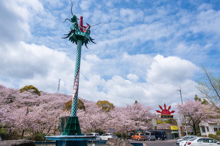 Mitoyo, Kagawa, Japan - April 9 2024 : Gate of Asahiyama Shinrin Park (Mt. Asahi Forest Park). Cherry blossoms in full bloom in Shikoku island.のeditorial素材