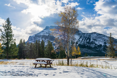 Tunnel Mountain Campground wooden bench in snowy autumn sunny day. Mount Rundle in the background. Banff National Park, Canadian Rockies.の写真素材