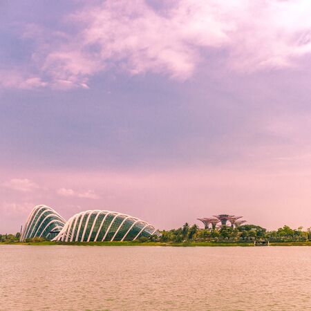 Side view of Gardens by the Bay with the Flower Dome and Supertree Grove area at sunset with a pink sky over the Singapore strait in Singapore, Asiaのeditorial素材
