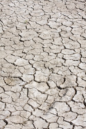 Dry soil with cracks backdrop showing erosion の写真素材