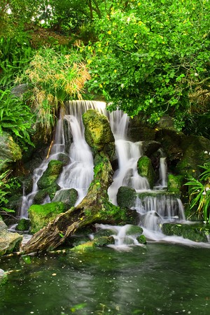 Beautiful waterfall with lake in the forestの写真素材