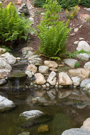 Small beautiful pond with ferns and little waterfallの写真素材