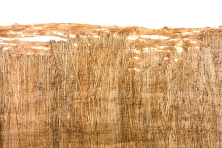Old brown papyrus texture close up with borderの写真素材