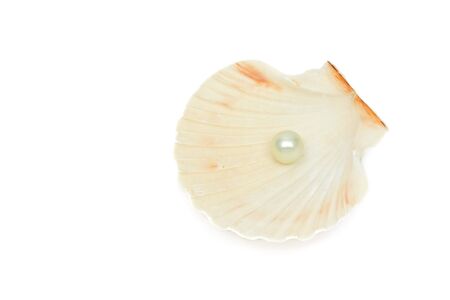 Great white pearl in shell isolated on white backgroundの写真素材