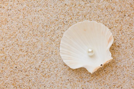 Sea shell with great white pearl on sand backgroundの写真素材