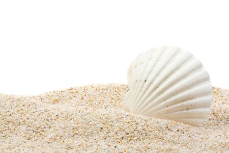 Large beautiful sea shell with sand on white background