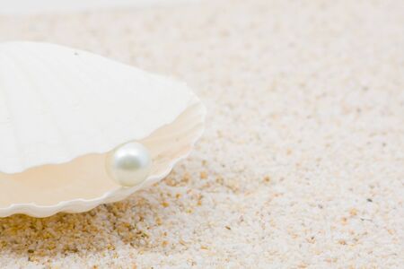 Large beautiful sea shell with white pearl on sand backgroundの写真素材