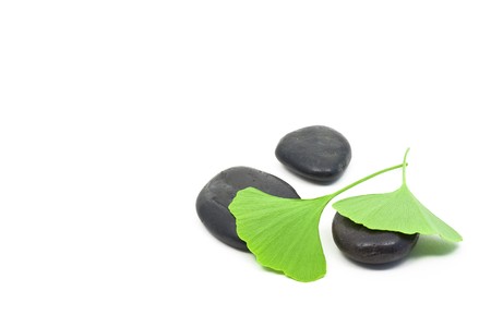 Ginkgo leaves on black pebbles over white backgroundの写真素材
